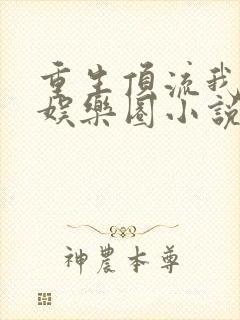 重生顶流我整顿娱乐圈小说在线全文免费阅读封面