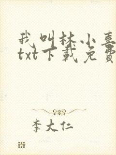 我叫林小喜小说txt下载免费