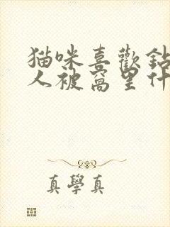 猫咪喜欢钻到主人被窝里什么原因