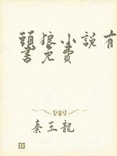 头狼小说有声听书免费封面