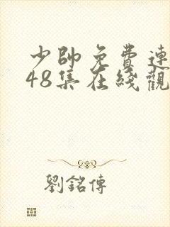 少帅免费连续剧48集在线观看高清版