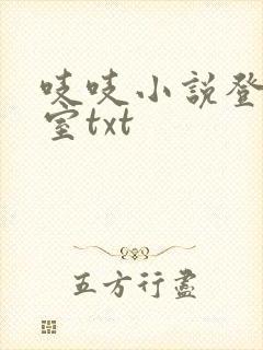 吱吱小说登堂入室txt
