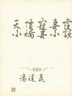 天价宠妻霍总的小娇妻小说