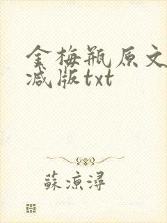 金梅瓶原文未删减版txt