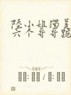 陆小姐独美后,六个哥哥跪求原谅 小说