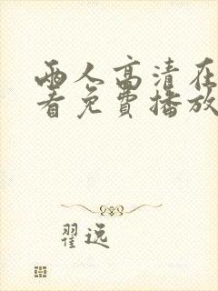 两人高清在线观看免费播放电视剧