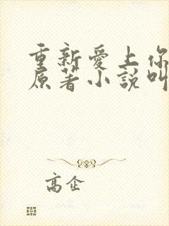 重新爱上你泰剧原著小说叫什么名字