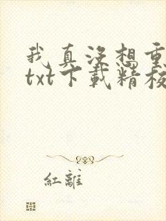 我真没想重生啊txt下载精校版
