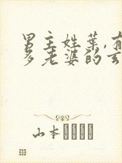 男主姓叶,有很多老婆的玄幻小说封面