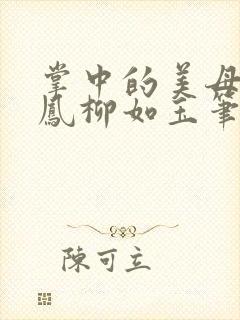 掌中的美母张惟凤柳如玉笔趣阁小说封面