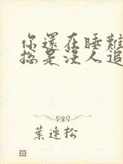 你还在睡难怪你总是没人追是什么歌