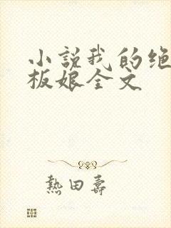 小说我的绝美老板娘全文