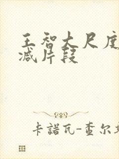 王智大尺度未删减片段