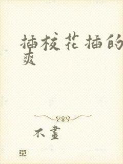 插校花插的我好爽