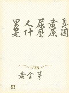 男人尿黄臭味大是什么原因