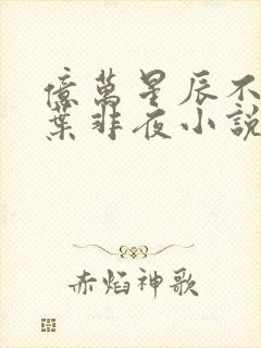 亿万星辰不及你叶非夜小说