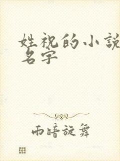 姓祝的小说女主名字封面