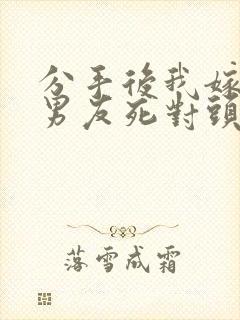 分手后我嫁给前男友死对头沈淮全文