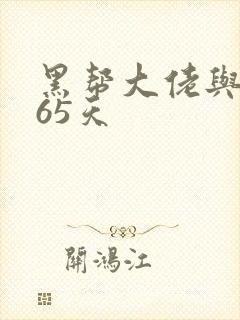 黑帮大佬与我365天