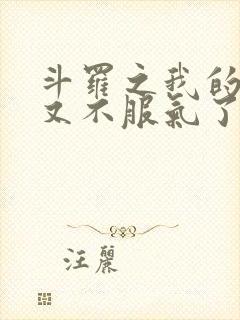 斗罗之我的系统又不服气了小说全文封面