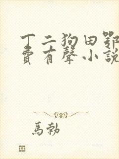 丁二狗田鄂茹免费有声小说封面