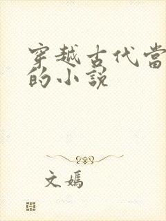 穿越古代当权臣的小说