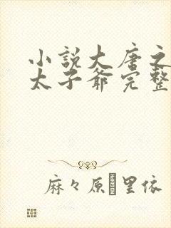 小说大唐之神级太子爷完整版