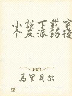 小说下载穿成五个反派的后娘