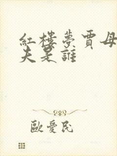 红楼梦贾母的丈夫是谁封面