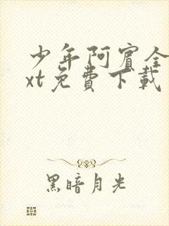 少年阿宾全本txt免费下载