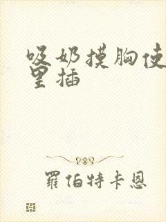 吸奶摸胸使劲往里插