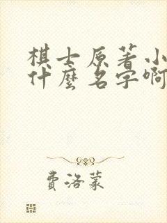 棋士原著小说叫什么名字啊