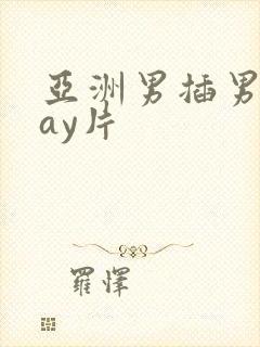 亚洲男插男同gay片