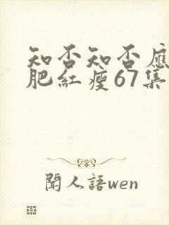 知否知否应是绿肥红瘦67集