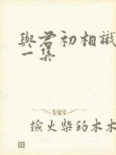 与君初相识最后一集封面