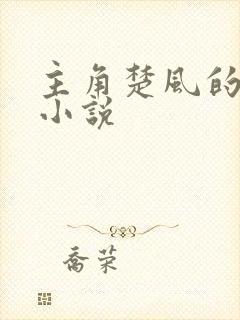 主角楚风的全部小说