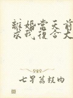 离婚当天前夫跪求我复合大结局