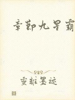 章节九星霸体诀封面