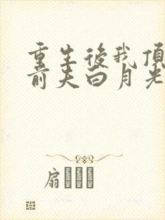 重生后我顶替了前夫白月光大概剧情