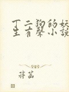 丁二狗的妖孽人生有声小说