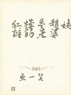 红楼梦赵姨娘是谁的老婆