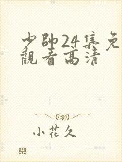 少帅24集免费观看高清封面