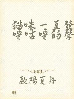 猫咪一直发出咕噜咕噜的声音不停