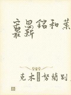 宋思铭和叶如云最新