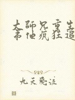 大师兄重生后师弟他疯狂追妻无删减版小说