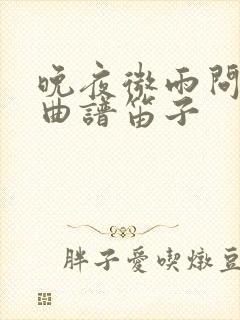 晚夜微雨问海棠曲谱笛子