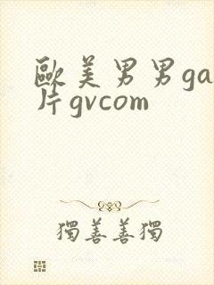 欧美男男gay片gvcom封面