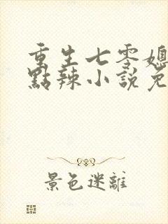 重生七零媳妇有点辣小说免费