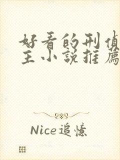 好看的刑侦双男主小说推荐