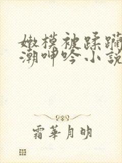 嫩模被蹂躏到高潮呻吟小说封面